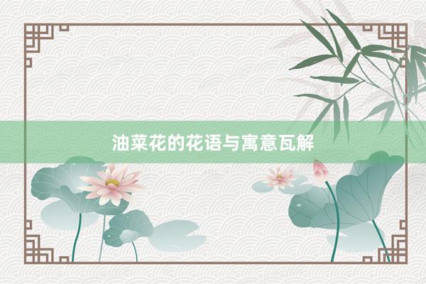 油菜花的花语与寓意瓦解