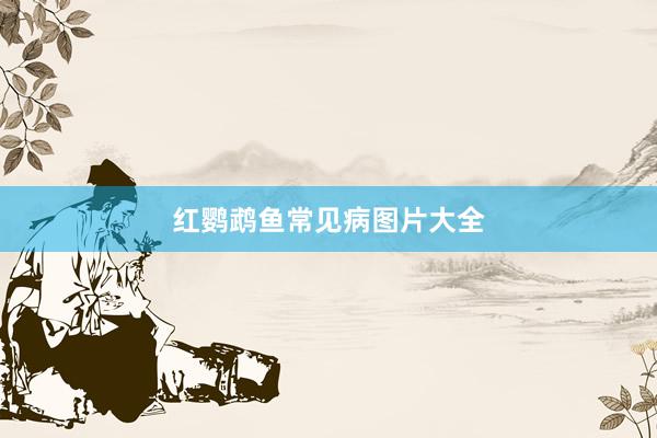 红鹦鹉鱼常见病图片大全